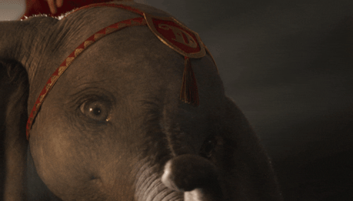 ezgif-2-bd93fa2927f5