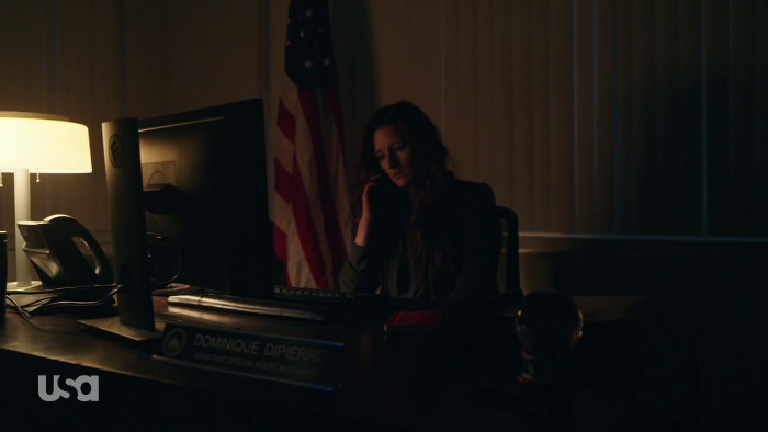 Dom in Her Office (Alt)