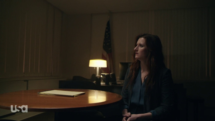 Dom Learns About Agent Horton (Alt)