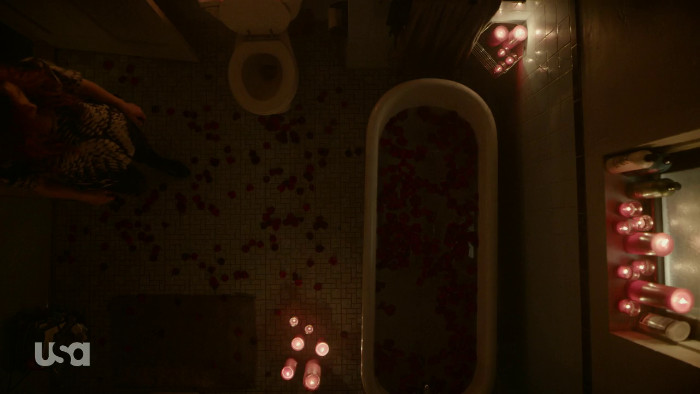 Decorated Bathroom (Alt)